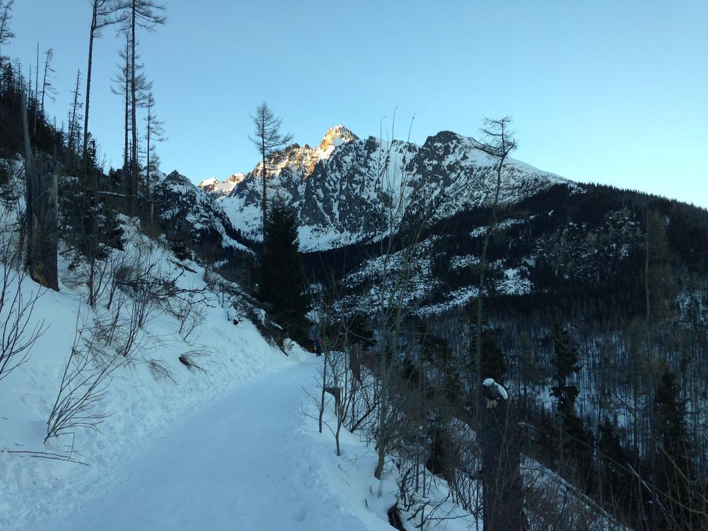 Studio A105 Stary Smokovec Hrebienok Vysoke Tatry Bagian luar foto