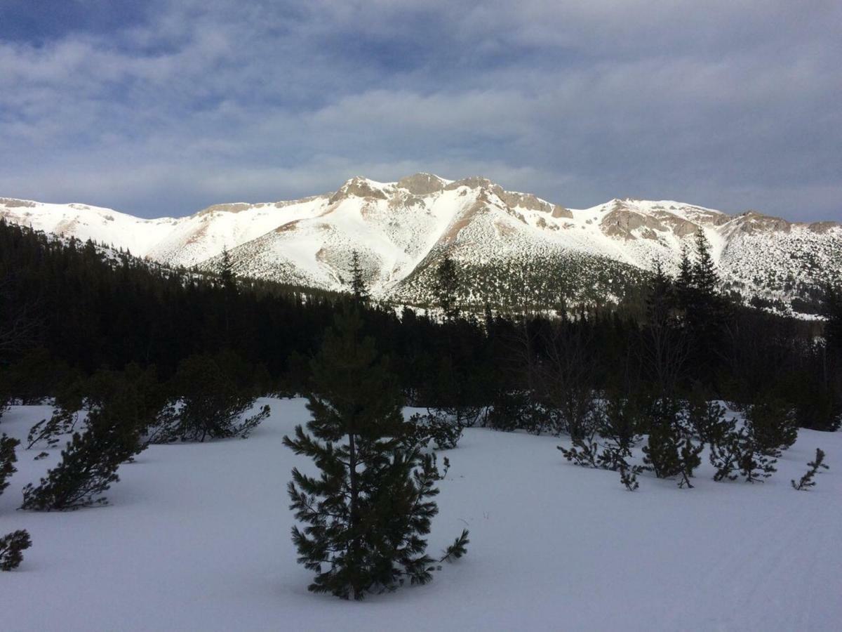 Studio A105 Stary Smokovec Hrebienok Vysoke Tatry Bagian luar foto